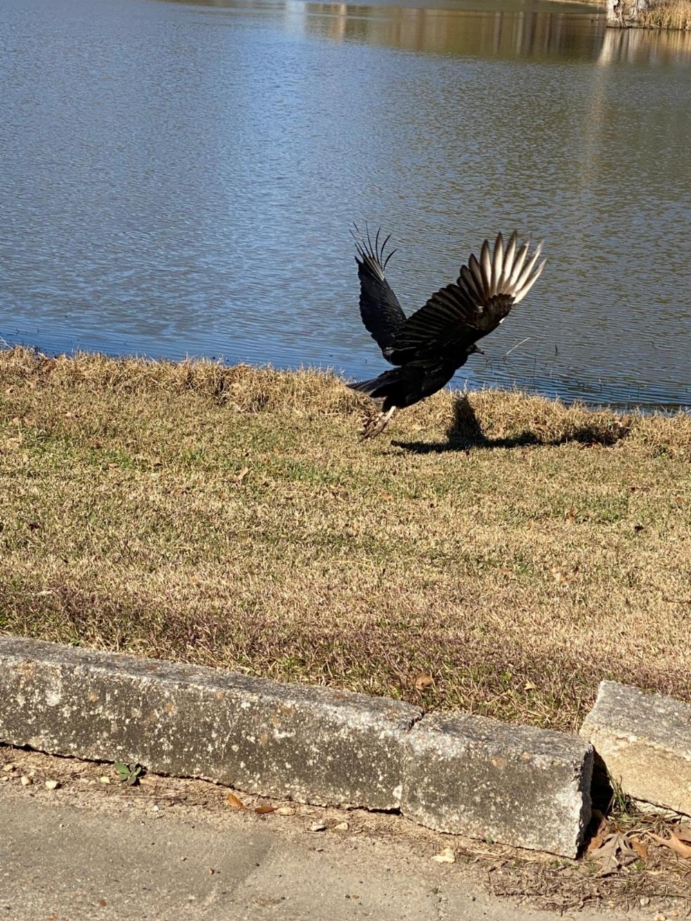 The Hotel Francis Main image